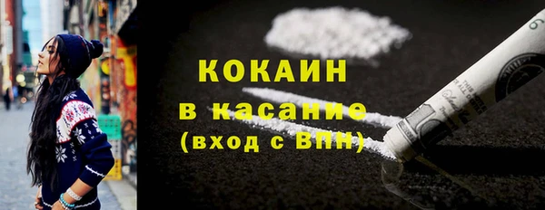сатива Новозыбков