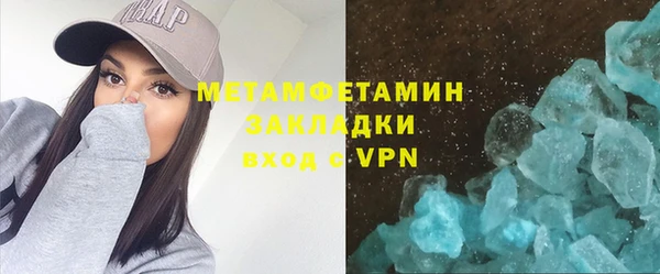 сатива Новозыбков