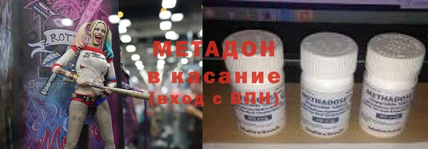 сатива Новозыбков