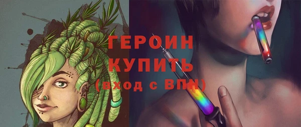 сатива Новозыбков