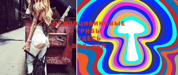 мдма Новодвинск