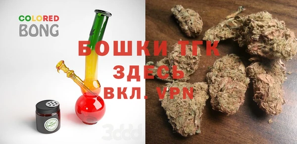 ГАЛЛЮЦИНОГЕННЫЕ ГРИБЫ Вязники