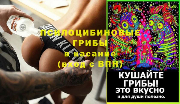 сатива Новозыбков