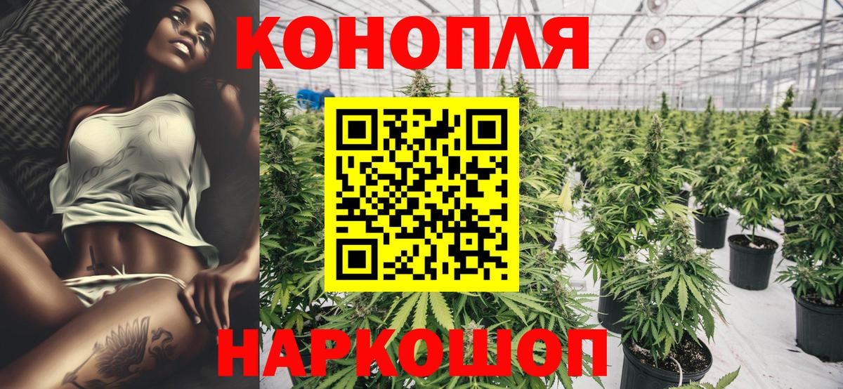 Конопля White Widow  Канабис конопля  Лыткарино  Бошки Шишки семена  Канабис VHQ 